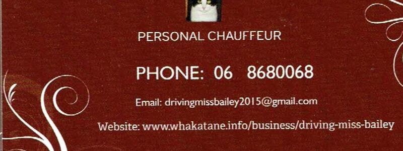 Logo: Driving Miss Bailey