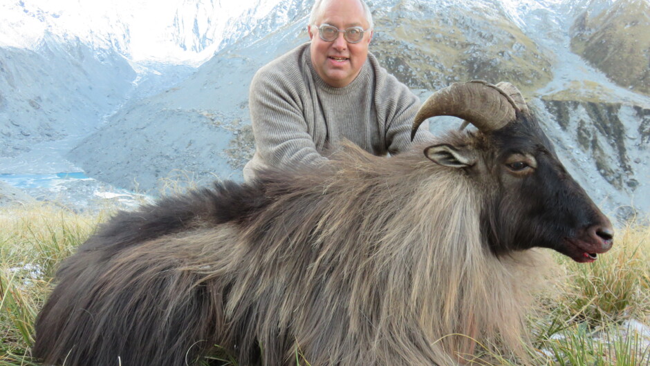 Tahr