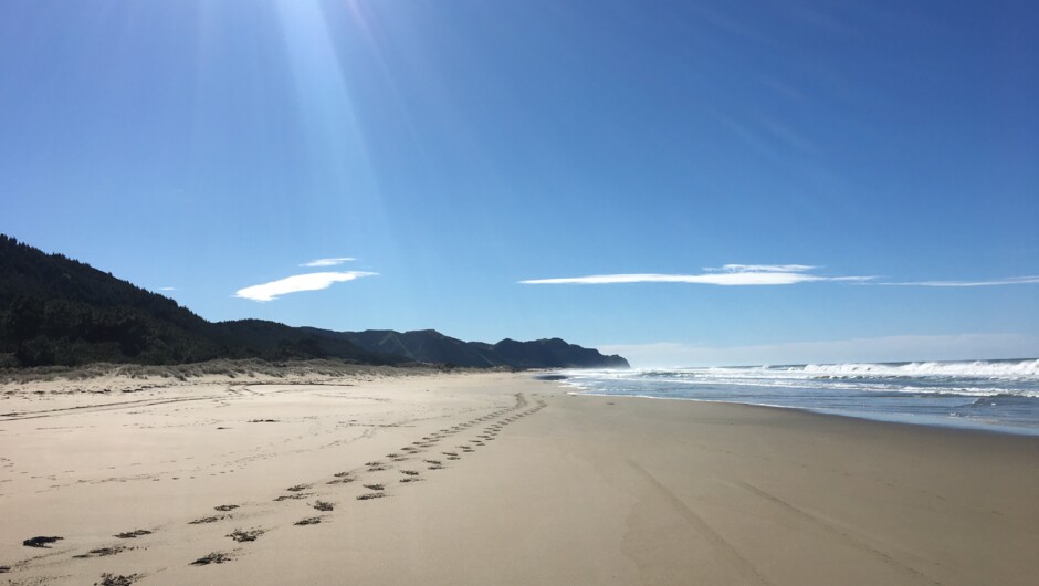 Untouched paradise on the East coast.