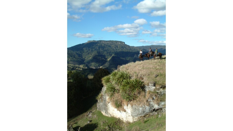 A River Valley Horse Trek with Mt Aorangi in the background.
