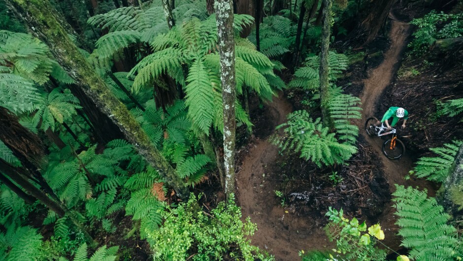 ©GraemeMurray RideRotorua 1.jpg