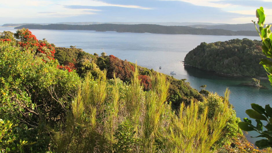 View over Paterson Inlet.