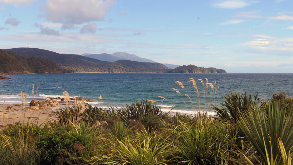 View from Lee Bay - Mt Anglem in the background.