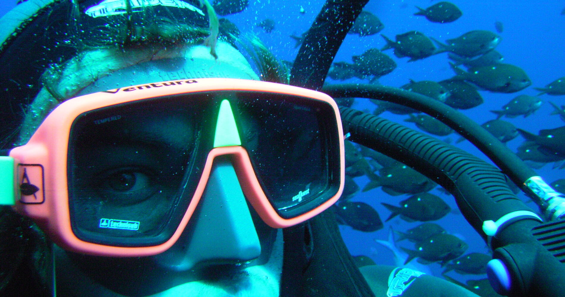 教堂湾潜水与浮潜Cathedral Cove Dive & Snorkel | Activities & Day