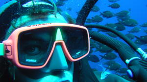 教堂湾潜水与浮潜Cathedral Cove Dive & Snorkel | Activities & Day
