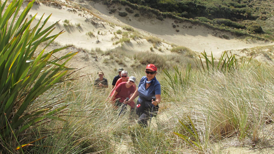 Amongst the dunes.