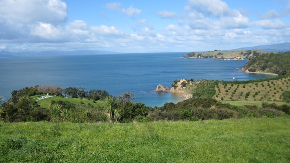 View from North Tower, Rotoroa Island