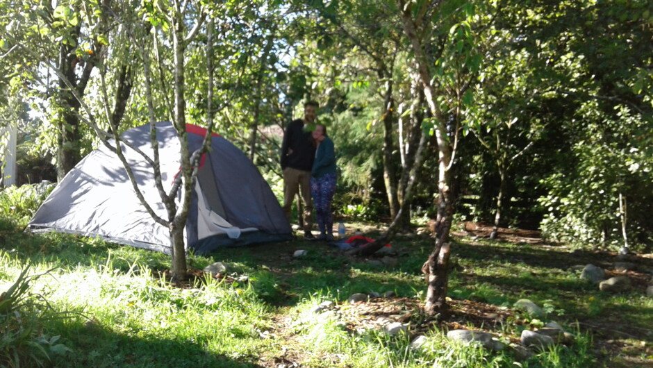 Orchard camping