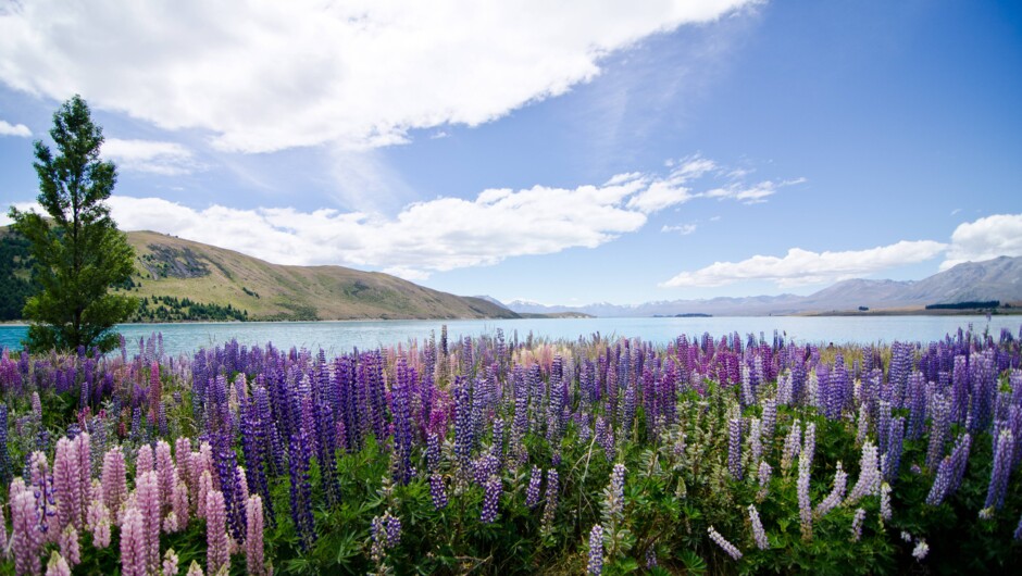 Mt Cook National Park