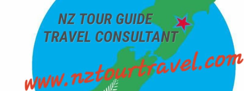 Logo: New Zealand Tour Guide and Travel Consultant