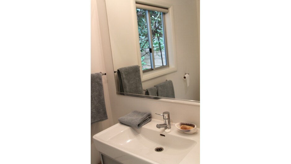 Light and bright bathroom with shower, handbasin and toilet.