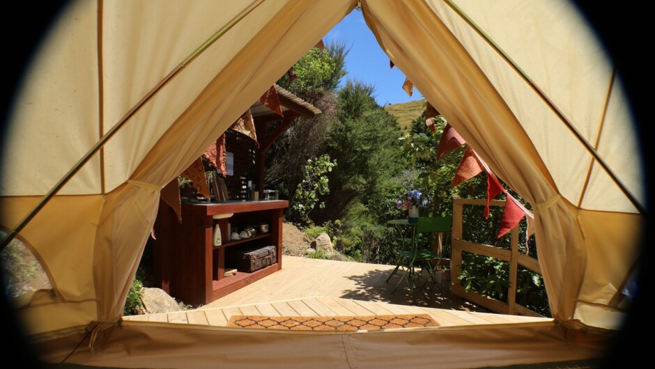 View from your tent
