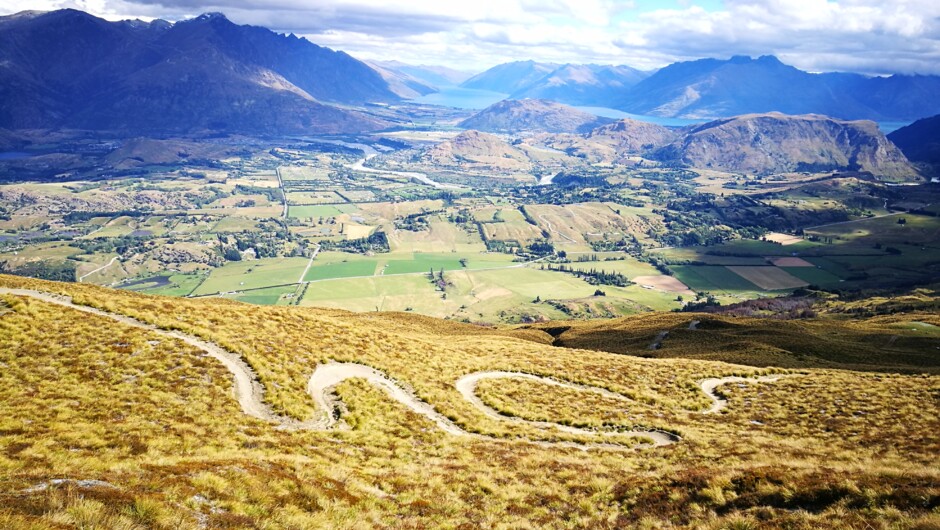 Coronet Peak XC Trail near Queenstown, single track at it's best