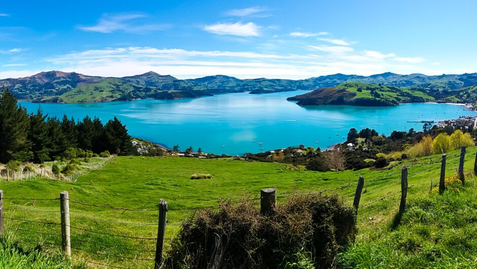View from of Akaroa Harbour our first photo stops.