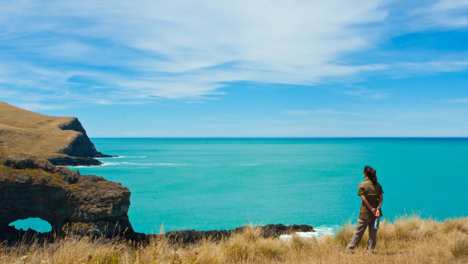 Akaroa Head Lighthouse Scenic Reserve.
