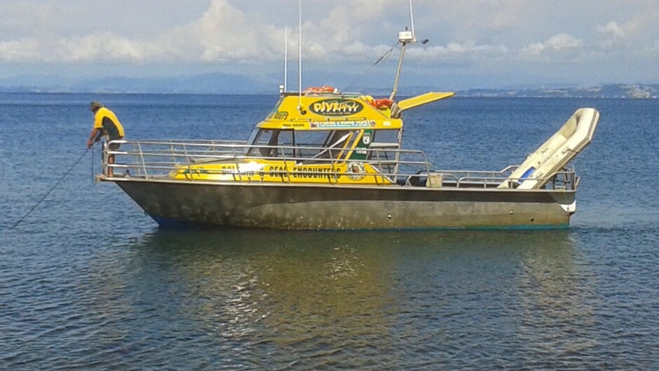 Diveworks Charters boat - small groups - family friendly, feels like it's just your tour