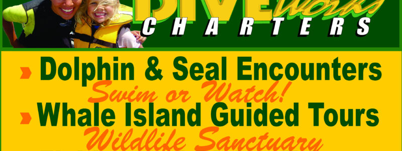 Logo: Diveworks Charters - Dolphin and Seal Encounters