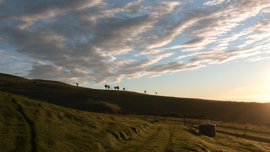 Big sky views from the Atatū PurePod.