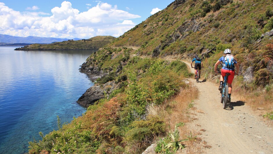 Millennium Track Wanaka
