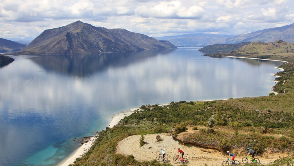Lake Wanaka MTB