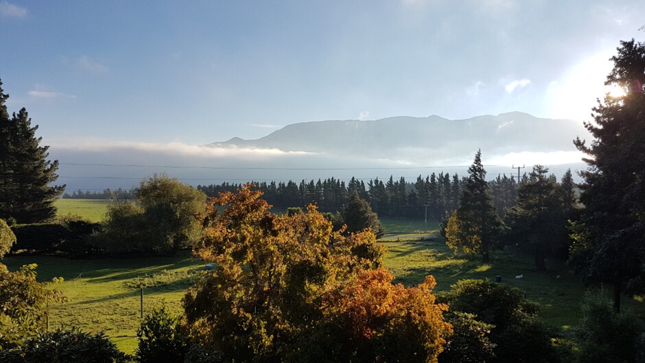 Looking across the garden to Mount Hutt