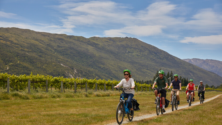 Cycling past famous Gibbston Vineyards