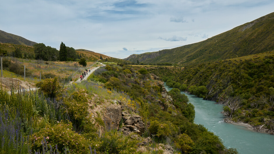 Following the beautiful Kawarau River