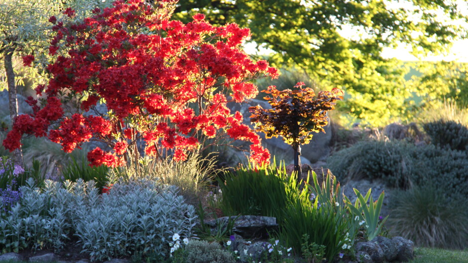Beautiful autumn colours