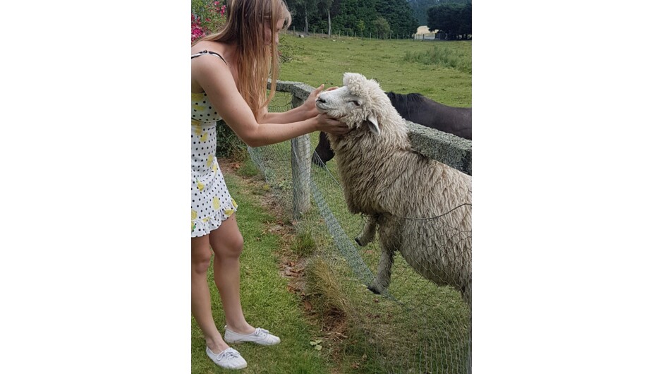 Getting a hello from 'R'