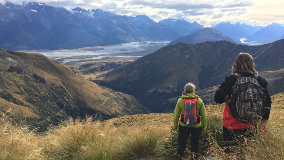Tussock land trails.