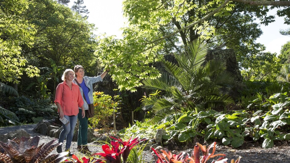Spring time at Whangarei Quarry Gardens