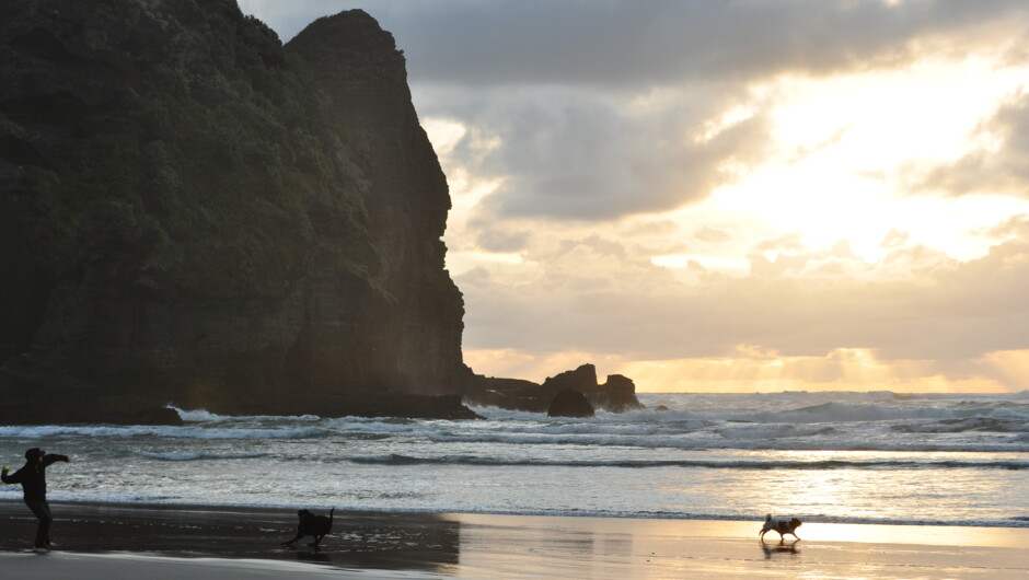 Piha Beach