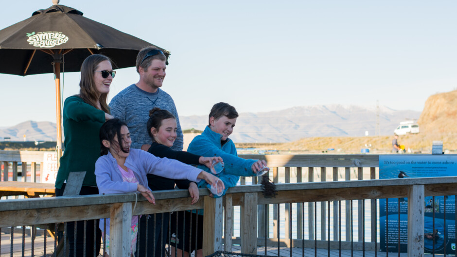 Family fish feeding on the deck at High Country Salmon.