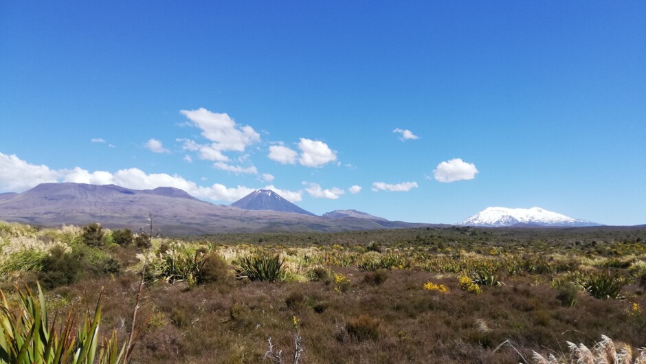 Tongariro National Park.