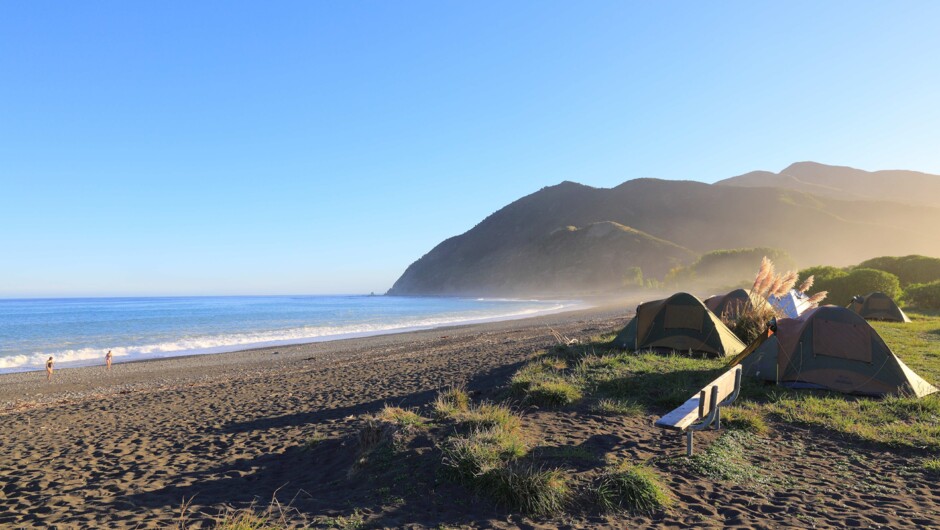 Our Kaikoura campsite - this beats a crowded hostel any day!