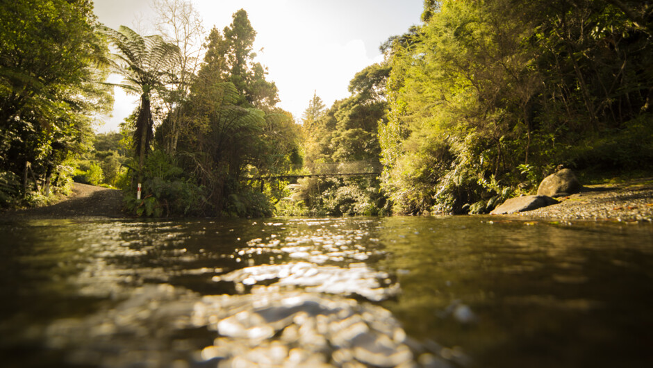 Wairua Lodge_morning at Waiatekatanga river.jpg