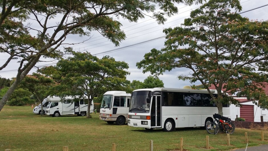 The campground at Waihi Station