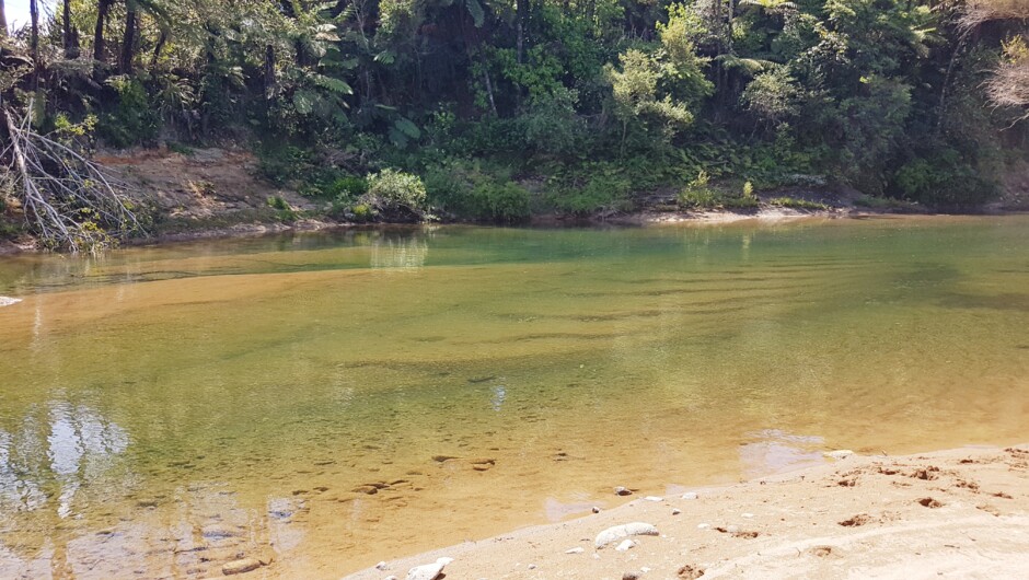Swimming hole on the property