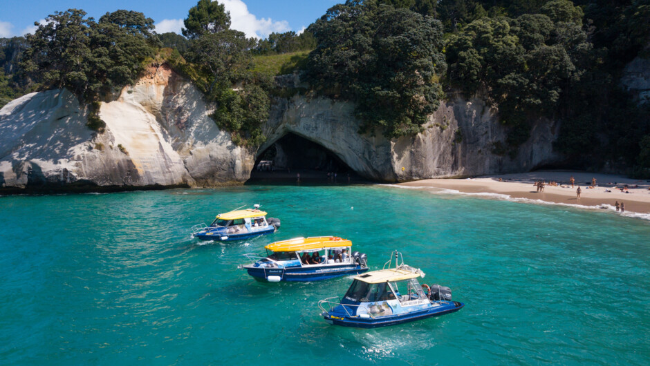 Glass Bottom Boat fleet at Cathedral Cove.