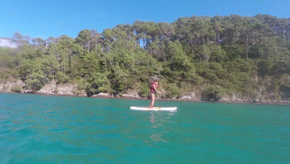 Paddle Board from The Rock to one of the 144 islands that make up the Bay of Islands.