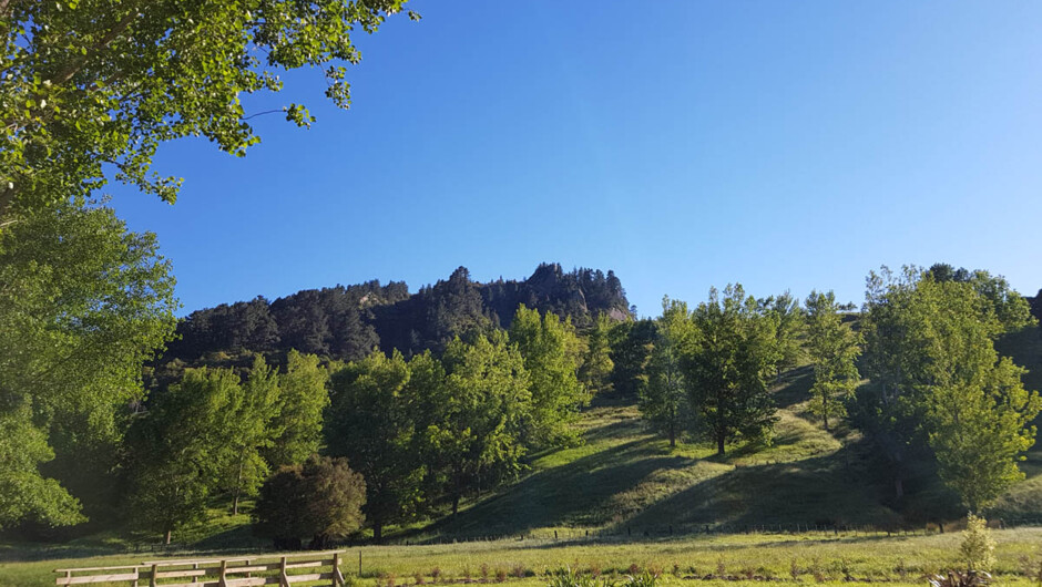 Tinui Pinnacles as seen from Poplar Cottage