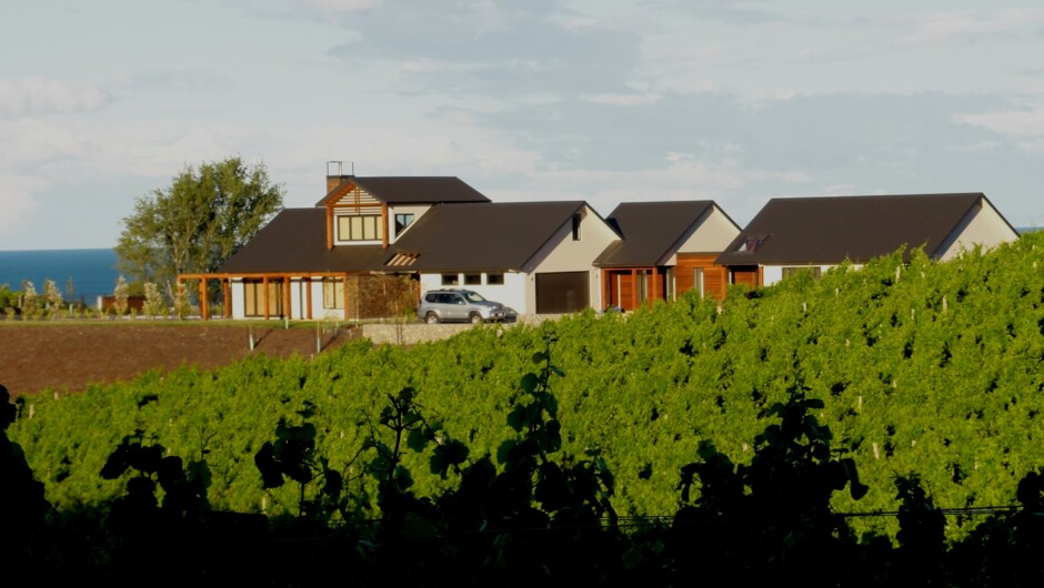 Lodge from vineyard