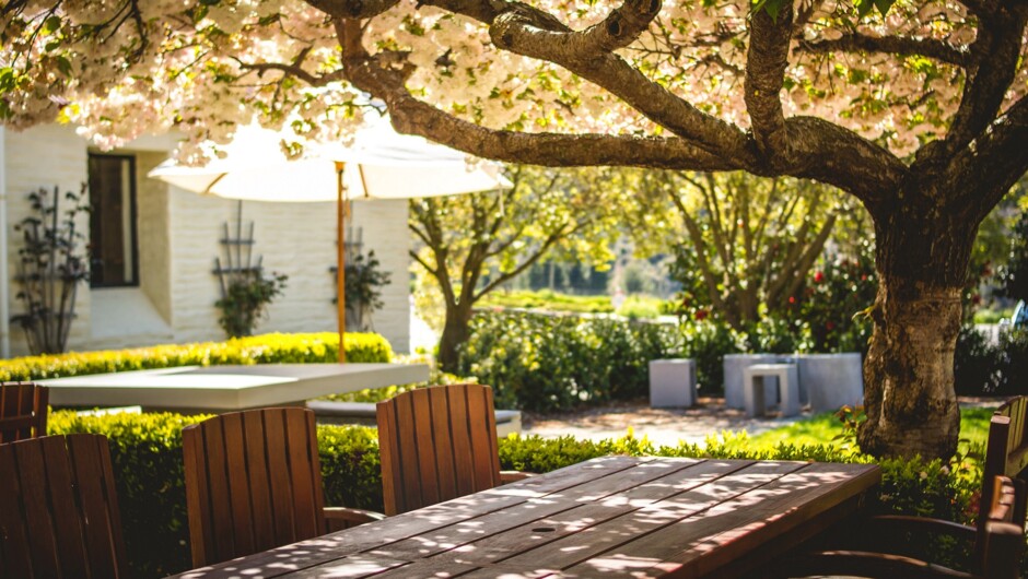 优雅舒适的室外就餐环境。