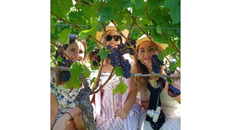 Girls having fun in the vineyard on our Nelson wine tour.