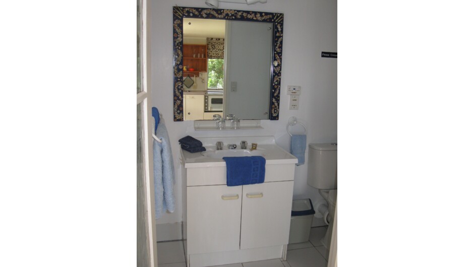 Studio unit bathroom with shower