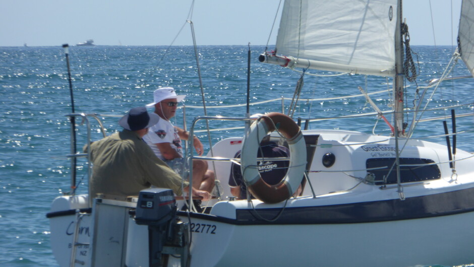 Enjoy the blue water of the Bay of Islands aboard a Davidson 20