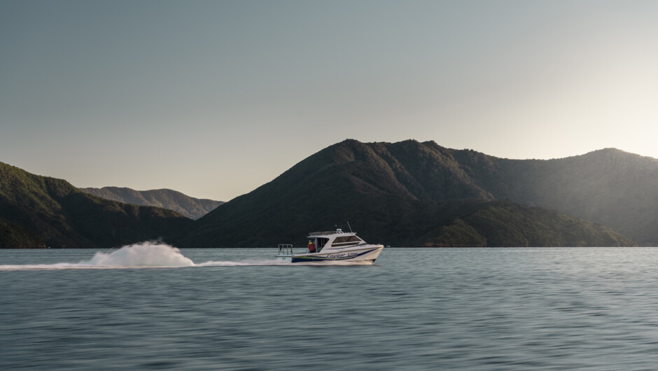 Daily scheduled and private scenic cruises and walks in the Marlborough Sounds.