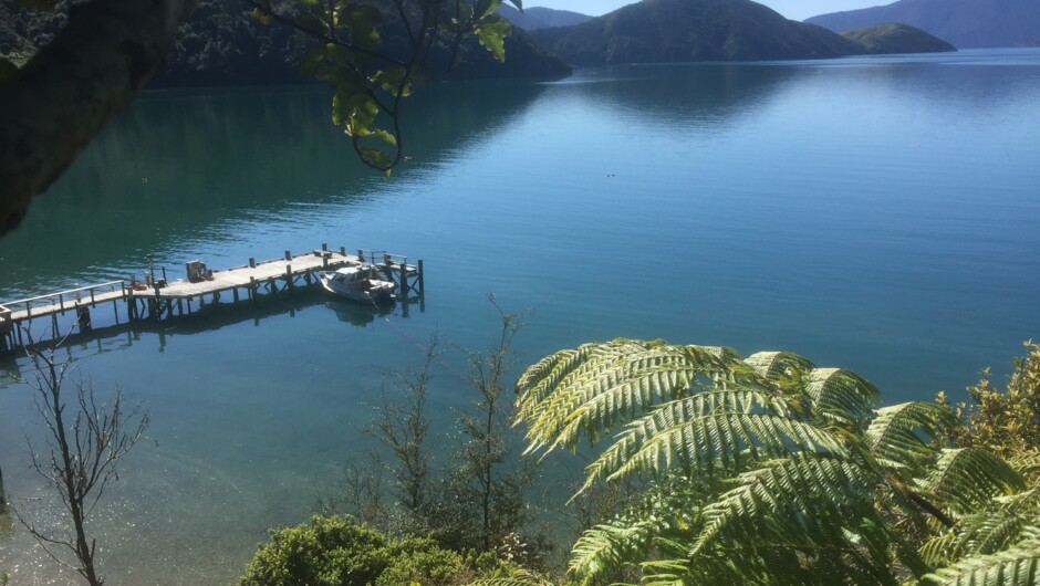 Tramp NZ Bush, Kayak Pelorus Sound