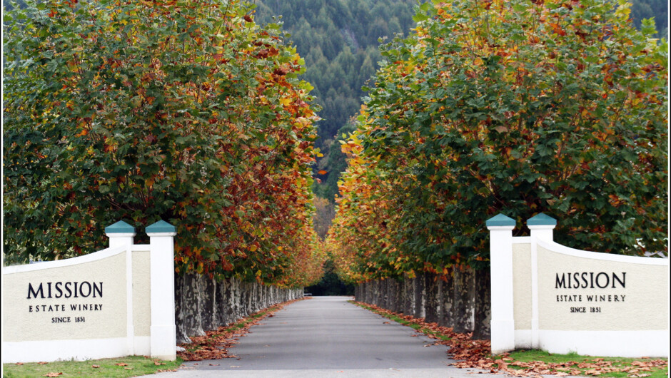 Visit the Mission Estate Winery on all tours.
