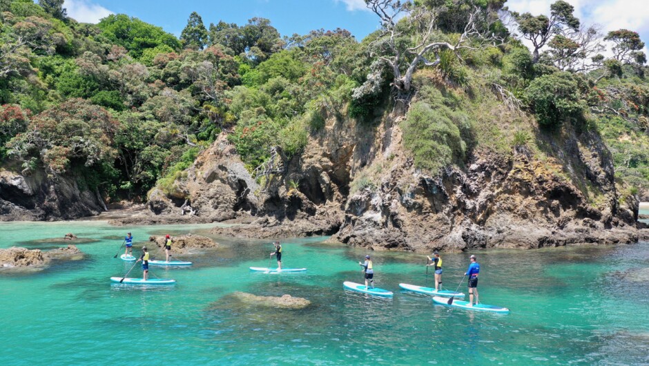 Tutukaka Coast Stand up Paddle Board Tour